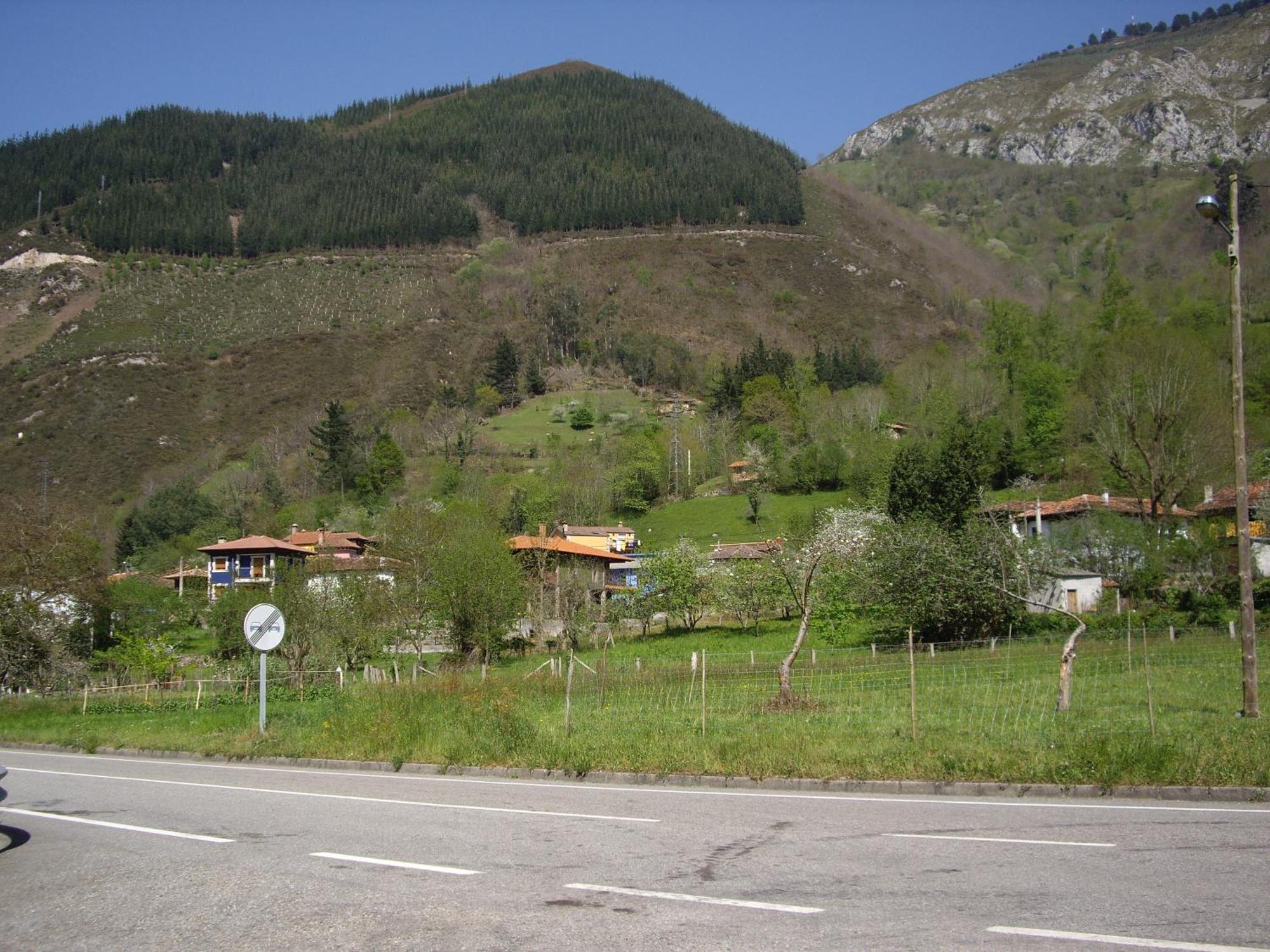 El Canton *
