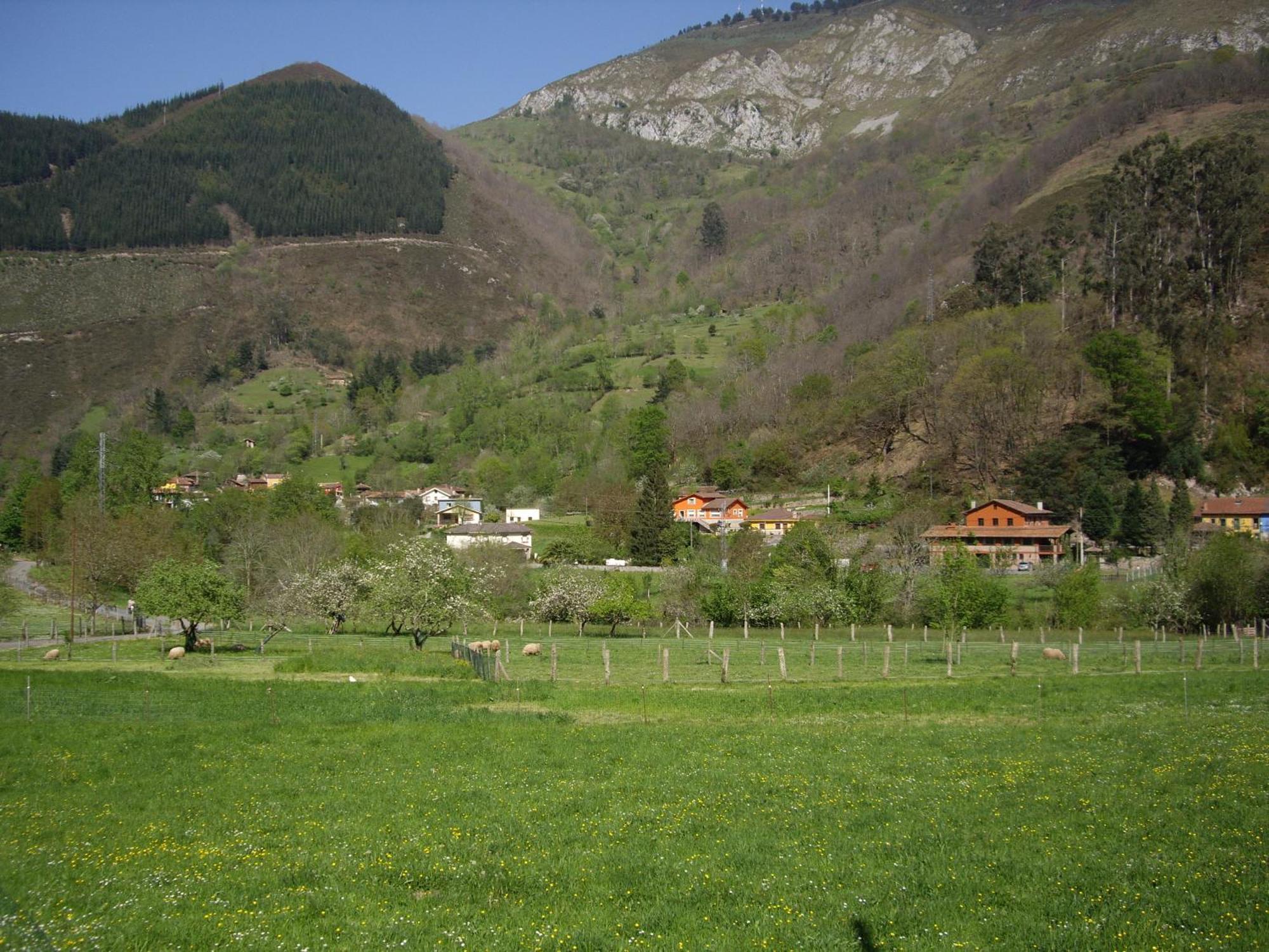 El Canton *
